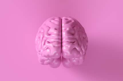 3D-illustratie van een roze menselijk brein tegen een effen roze achtergrond.