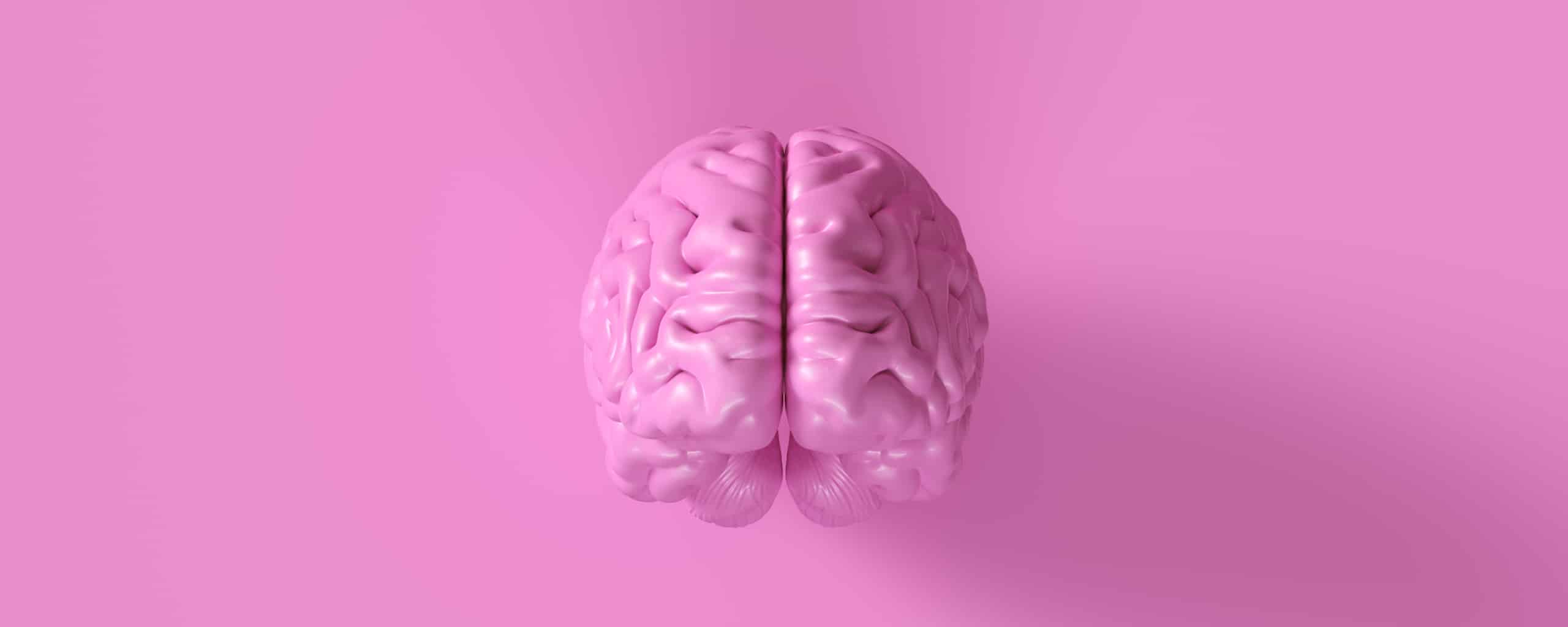 3D-illustratie van een roze menselijk brein tegen een effen roze achtergrond.